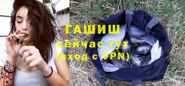 спиды Вяземский