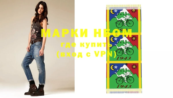 спиды Вяземский