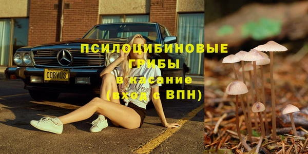 спиды Вяземский