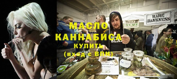 спиды Вяземский