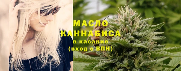 спиды Вяземский