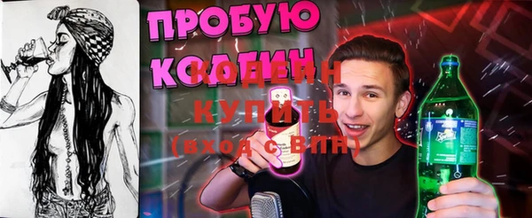 спиды Вяземский