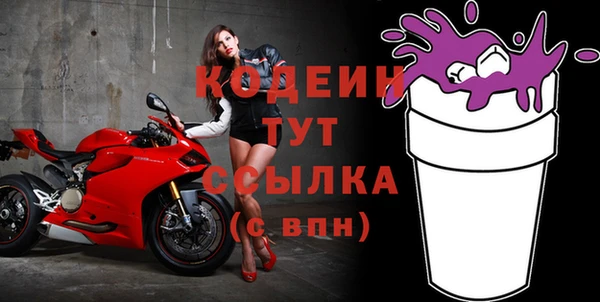 спиды Вяземский