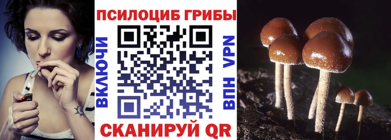 Псилоцибиновые грибы Psilocybine cubensis  Нефтекамск 